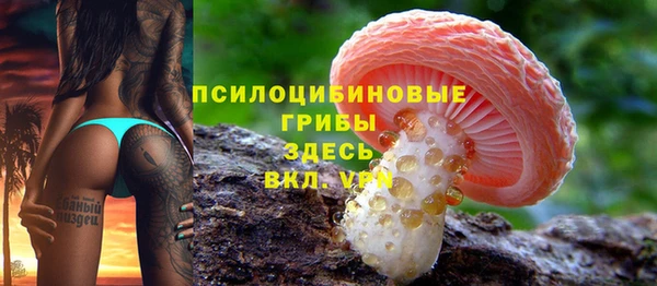 ALPHA PVP Алексеевка